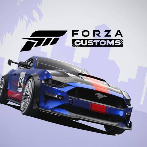 Forza Customs Icon for the game Forza Customs